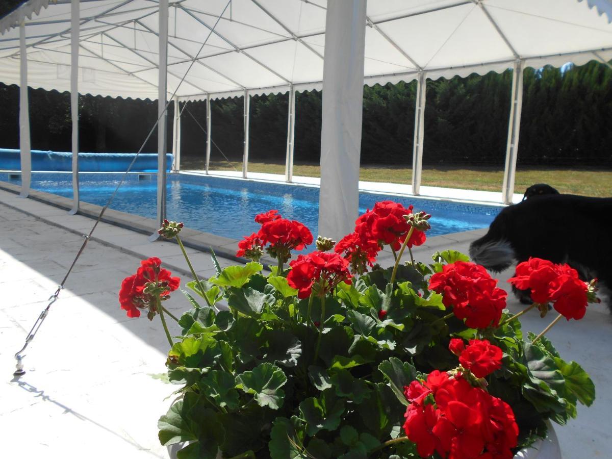 Les Bruyeres Bed & Breakfast Mery-sur-Cher Exterior photo